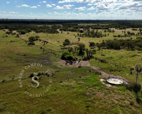 Campo Mixto. 154 HA. SA Pereira, Santa FE.