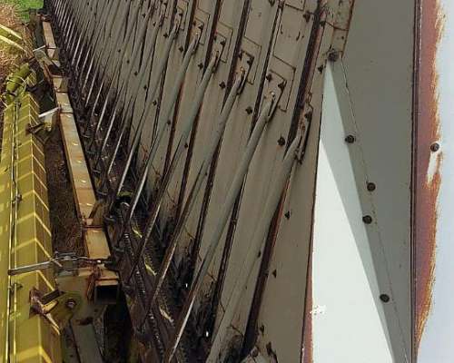 Girasolero Maizco Mxiii 16 a 70 cm – Buen Estado General