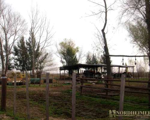 Zarate , G.b.a. Zona Norte, Argentina