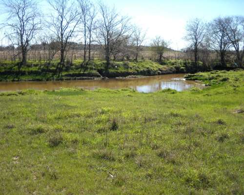 436 Has. en Venta - Santa Lucia, San Pedro - Buenos Aires.