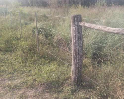 Formosa -1600 Has.- Excepcional -