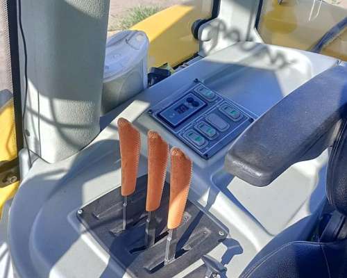 Pauny Audaz 220 año 2019