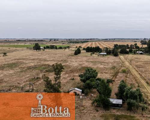 5has en Venta en Mercedes, Provincia de Buenos Aires