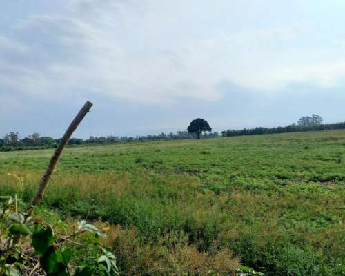 Hectareas Agricolas en Tafi Viejo Tucuman