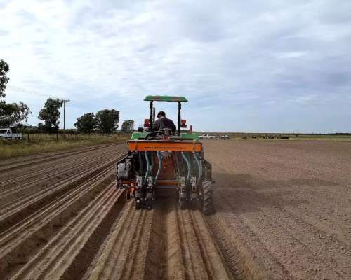 Sembradora de Hortalizas el Pato SH Neumatica