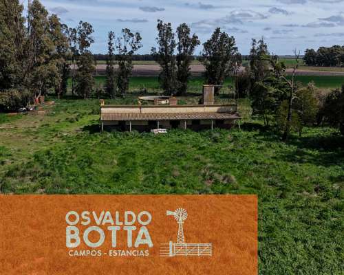 Campo 100% Agricola Sobre Ruta a 10km de Tres Arroyos