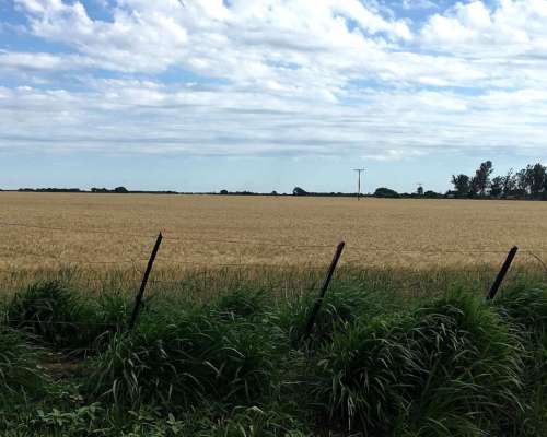 Campo Agrícola en Fortin Inca, Prov. de SGO del Estero
