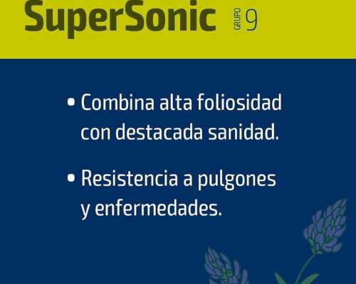 Alfalfa Biscayart Supersonic G9