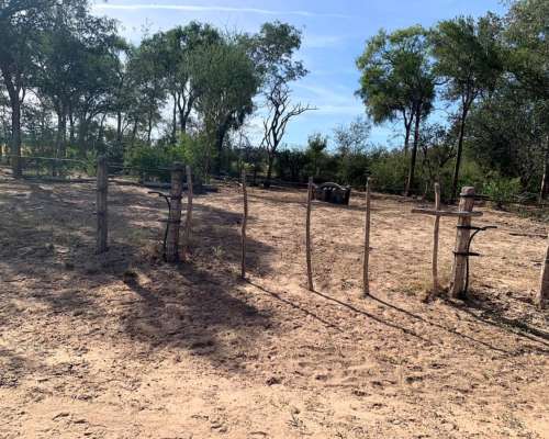 Venta de Campo Ganadero, Providencia, Sgo. del Estero, Arg.