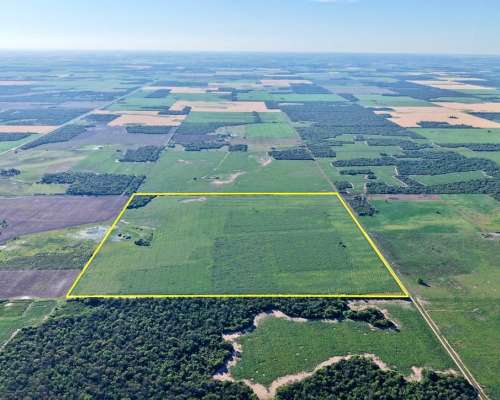 99 Has en Venta - Pcia del Chaco, las Breñas