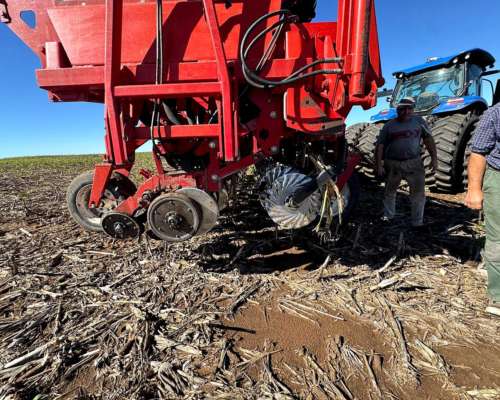 S. G. Grueso Crucianelli Gringa 7035 23 a 35 Precision Plant
