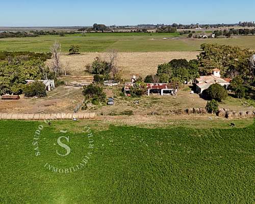 Campo Andino, Santa FE. Ganadería. 360 Hectáreas.