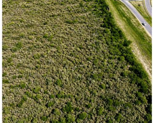 35 Hectáreas Frente al Parque Industrial Gualeguaychú, Ruta.