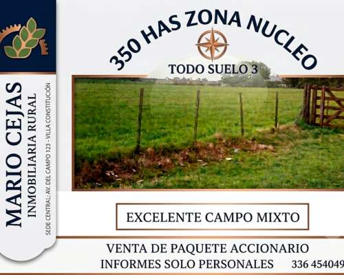 350 Has Mixtas Zona Nucleo