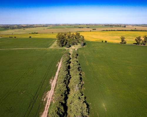 Campo en Venta Arrecifes 93ha