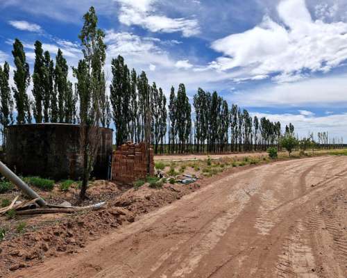 Malargue, Mendonza - 200 Ha