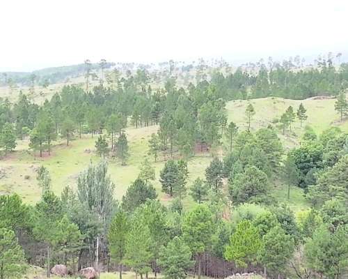 Cordoba Villa Alpina 240 Has