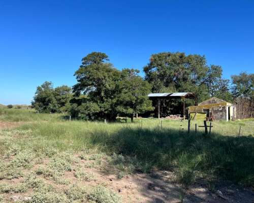 Establecimiento 2580 Ha Venta