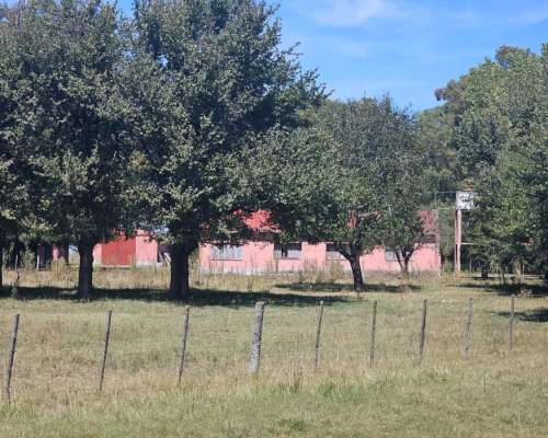Campo Venta Casalins Pila 268ha