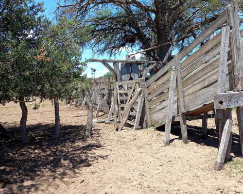 14000 Has - Campo Ganadero en la Pampa