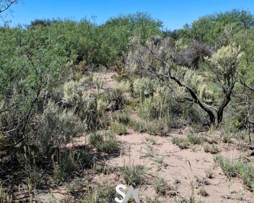 Vende: Campo de 12.342 Hectáreas, Limay Mahuida, la Pampa