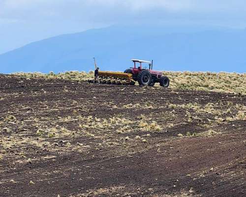 Pcia. de Catamarca - Singuil 5816 Has