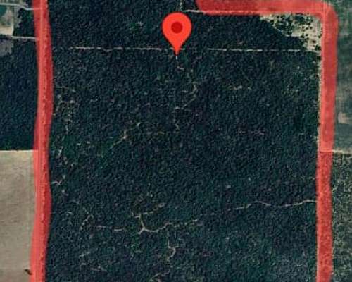 Dueño Vende Campo a 15km al Este de Corzuela