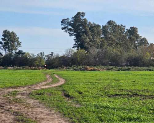 Campo en Venta 41,55 Ha – Ideal Desarrollo Barrio Cerrado