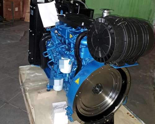 Motores para Generadores y Bombas de Riego