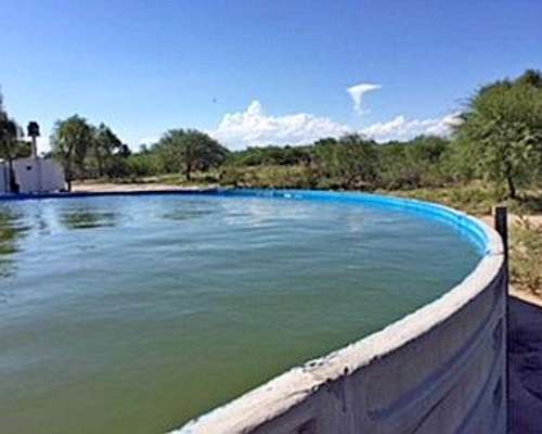 Arriendo 3.000 Ha San Luis Limite con Mendoza