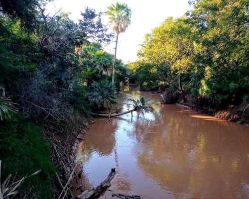 Dueño Vende 7.000has Ganaderas a 100km de las Lajitas, Salta