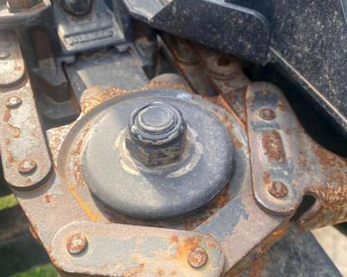 Maizco Premium 15 a 42 cm año 2018