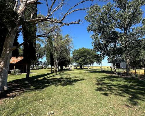 Campo Mixto de 250 Hectáreas