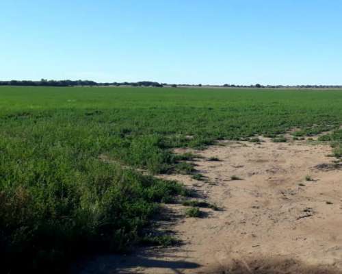 600 Hectareas en la Maruja