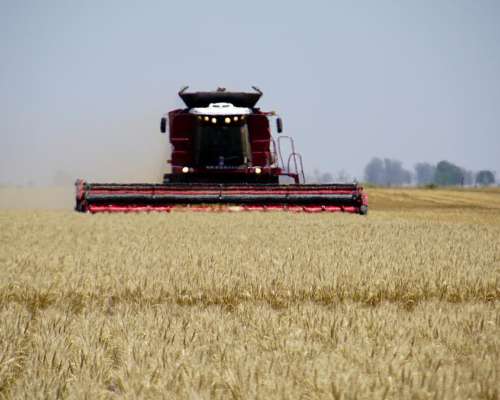 Nueva V-1550 - Nuevo Motor