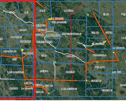 Arrendamiento o Pastaje 5.000 Ha Ganaderas Villa Berthet