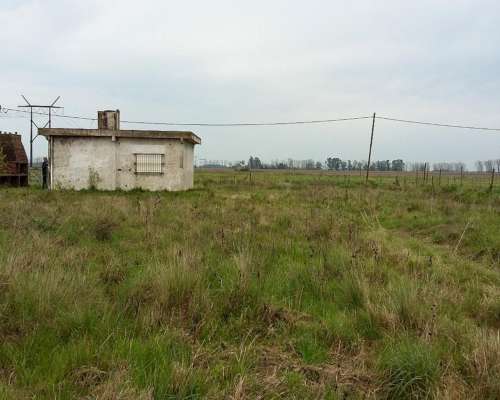 Campo en Venta en Zona Hortícola de la Plata