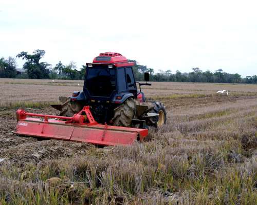 Rotocultivador (rotovator) Lavrale Modelo R S 250/6