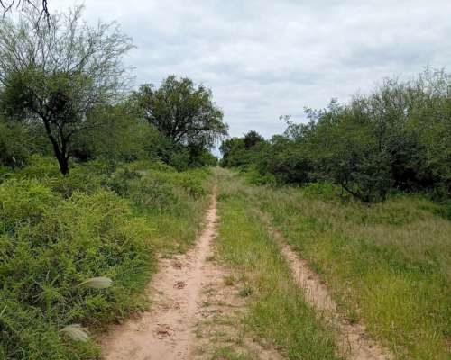 Campo en Venta 1.353 Ha – Cruz del Eje, Córdoba