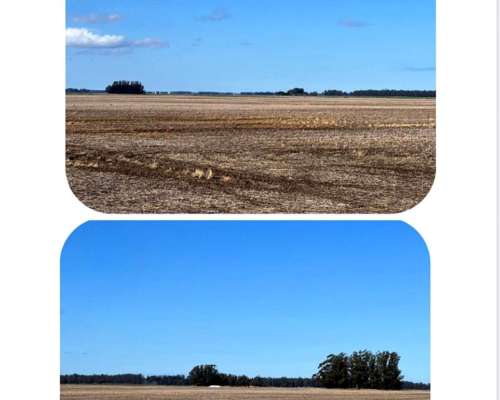 410 Has en Miramar - la Ballenera