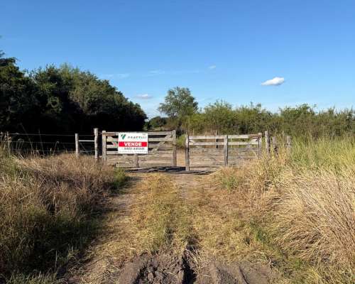 525 Hectáreas Ganaderas, Tartagal, Santa FE