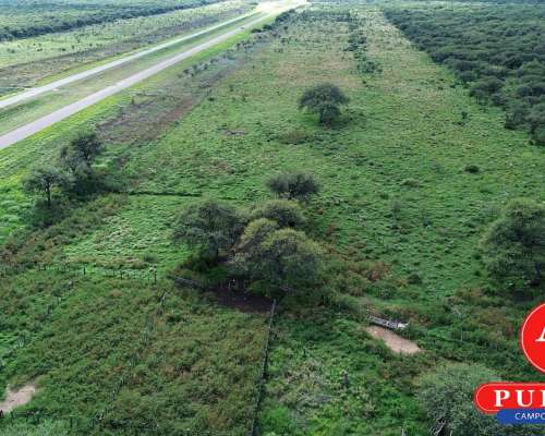 En Venta Campo Ganadero