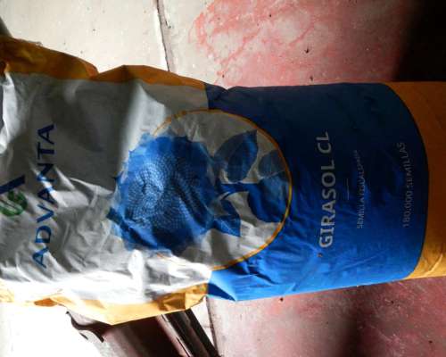 Girasol ADV5500 CL año 2023
