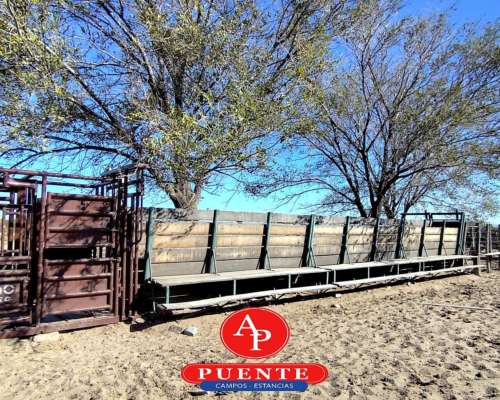 En Venta 15.000 HA. Lihuel Calel, la Pampa