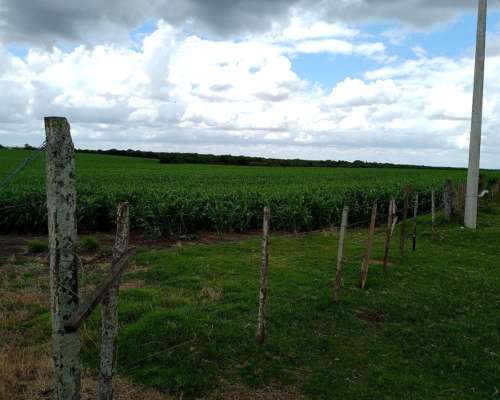 200 Ha Agricolas en Concepcion del Uruguay
