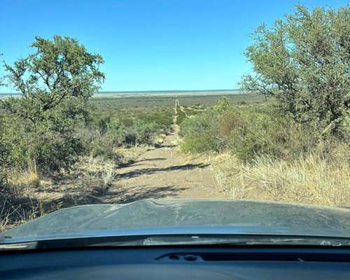 4855 HS. Ganaderas en Algarrobo (BS As).