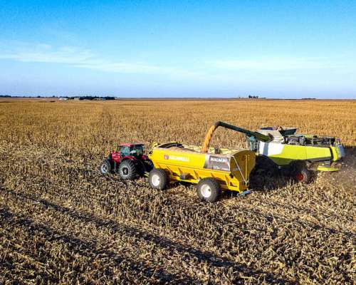 Tolva Autodescargable Ascanelli 30 TN - 4 Ruedas