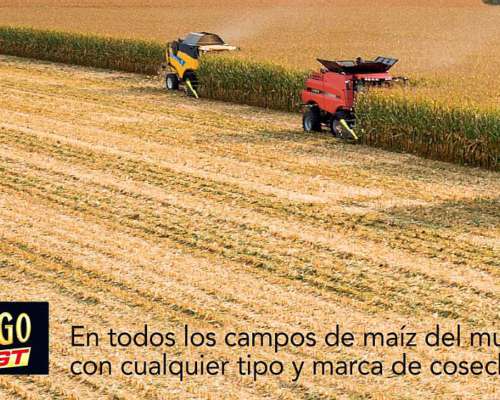 Maicero Dragogt 16 a 52 Lider Mundial en Cosecha de Maiz