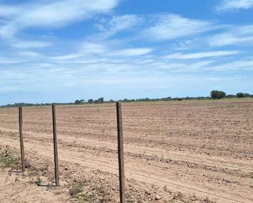 Brea Pozo, 613 Has Mixto