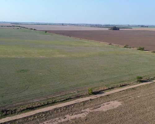 Campo Agricola en Venta 264 Has en Pilar, Cordoba